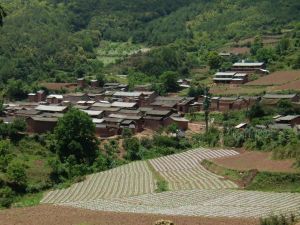 龍頭二村 龍頭二村