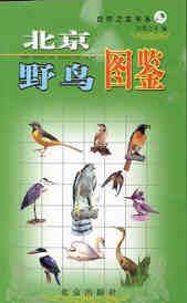北京野鳥圖鑑 北京野鳥圖鑑