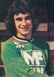 多米尼克·羅謝托