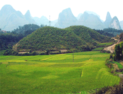 陳勇烈祠 陳勇烈祠