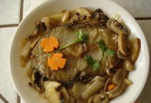 蘑菇馬鮫魚 蘑菇馬鮫魚