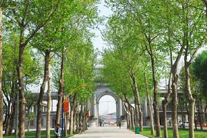 華東財經學院 華東財經學院