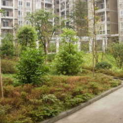 耀文金鑫花園 耀文金鑫花園