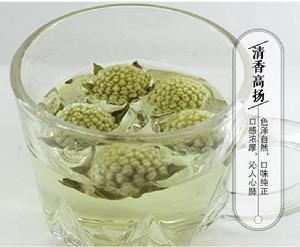 結香花[桃金孃目瑞香科植物]