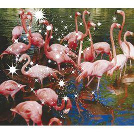 瞳の住人 瞳の住人