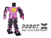 人形機器人 人形機器人