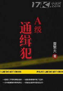 A級通緝犯[17K小說]