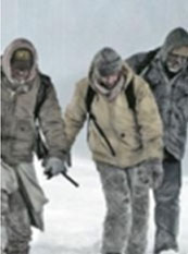 逃離灰狼群 逃離灰狼群