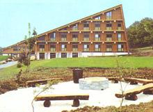 青年旅舍[組織]