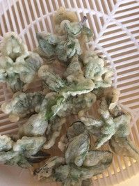 油炸薄荷 油炸薄荷