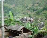 雲南省普洱市景谷縣正興鎮大灣田自然村