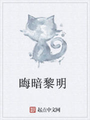 晦暗黎明 晦暗黎明