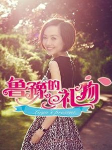 魯豫的禮物 魯豫的禮物