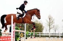 陝西省馬術隊