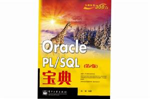 Oracle PL/SQL寶典（第2版）