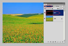 Photoshop中性色 Photoshop中性色