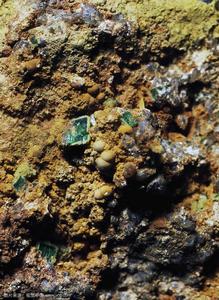 鈾氧化物的活化 鈾氧化物的活化