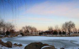 河西公園 河西公園