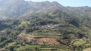 上竹箐自然村 上竹箐自然村