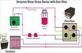 細胞流體切應力 細胞流體切應力