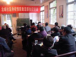 北城社區[雲南大姚縣金碧鎮下轄社區]