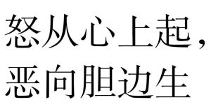 怒從心上起,惡向膽邊生 怒從心上起,惡向膽邊生