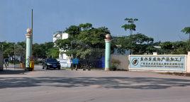 廣西東興東成食品工貿開發有限公司