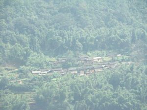 桃子樹自然村 桃子樹自然村