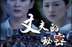 丈夫的秘密[柳國慶導演電視劇]