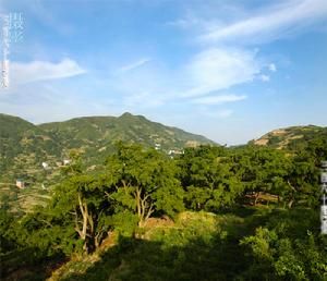 香榧森林公園美景