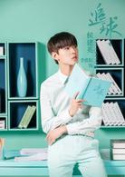 追球[2018年蘇浩旗執導電視劇]