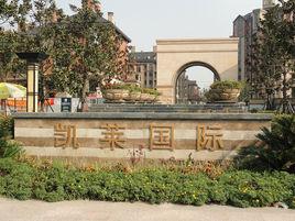 凱萊國際 凱萊國際