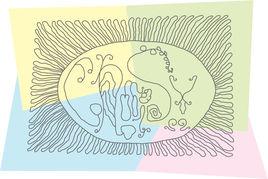 act of god act of god