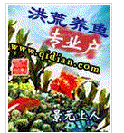 洪荒養魚專業戶 洪荒養魚專業戶