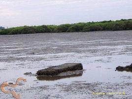 海南省文昌市鋪前鎮 海南省文昌市鋪前鎮