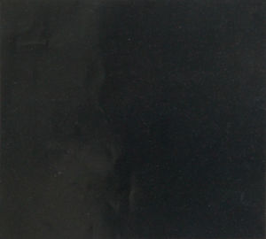 伯利黑 | Kimberley Black |