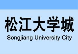 松江大學城站 松江大學城站