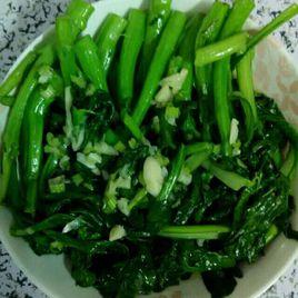 油綠501菜心 油綠501菜心