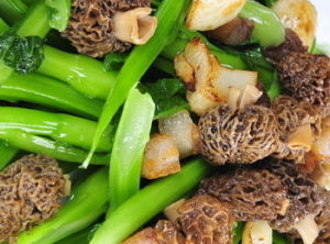 猴頭菜心 猴頭菜心