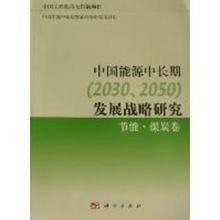 中國能源中長期發展戰略研究：節能，煤炭卷