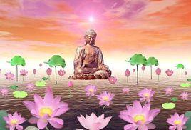 重生蛇之旅 重生蛇之旅