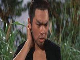 劉剛[香港演員]