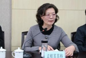 孟根其其格 孟根其其格