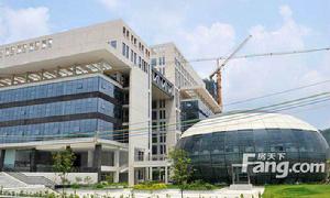 龍林上觀 龍林上觀