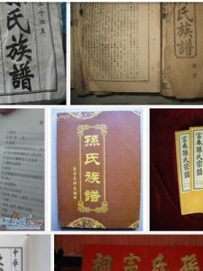 孫姓家譜 孫姓家譜