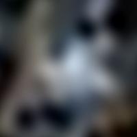 HR 5371 RASS 彩色圖