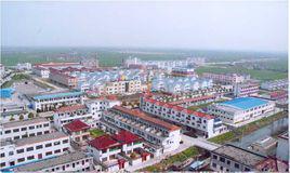 雙溝鎮[安徽省亳州市雙溝鎮]