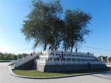 劉秀公園裡的千秋台