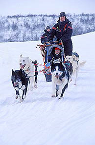 芬馬克郡（Finnmark）的狗拉雪橇，挪威