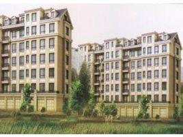 金泰先鋒 金泰先鋒